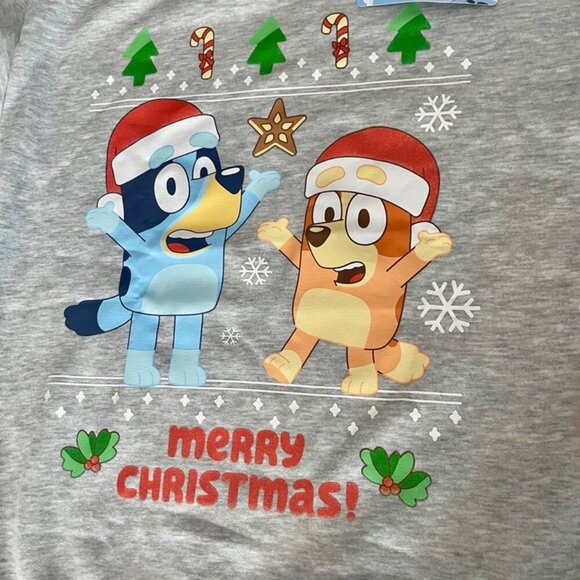 BLUEY & CHILLY HELLER UGLY CHRISTMAS SWEATSHIRT SZ S KIDS L GRAY CARTOON KAWAII - Picture 4 of 16